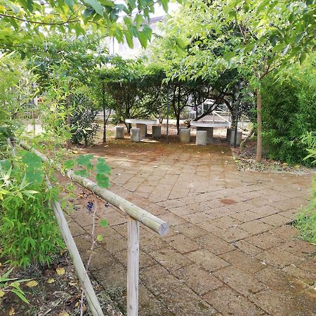 Azienda Agrituristica Le Betulle Riotorto Exteriör bild