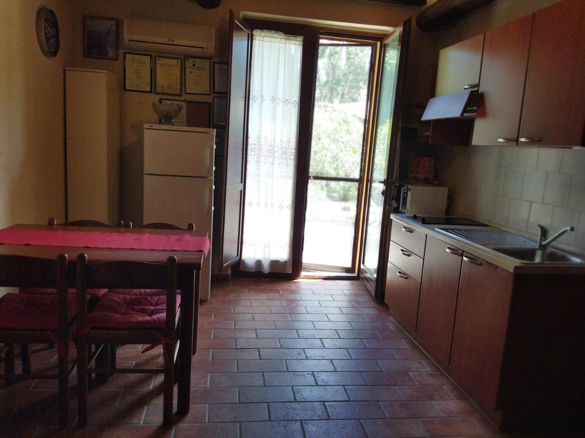 Azienda Agrituristica Le Betulle Riotorto Exteriör bild