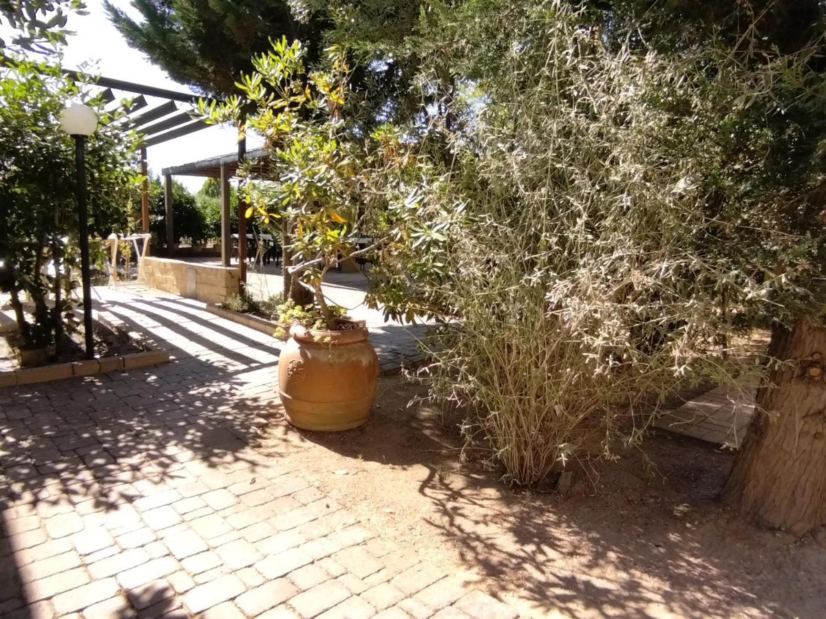 Azienda Agrituristica Le Betulle Riotorto Exteriör bild