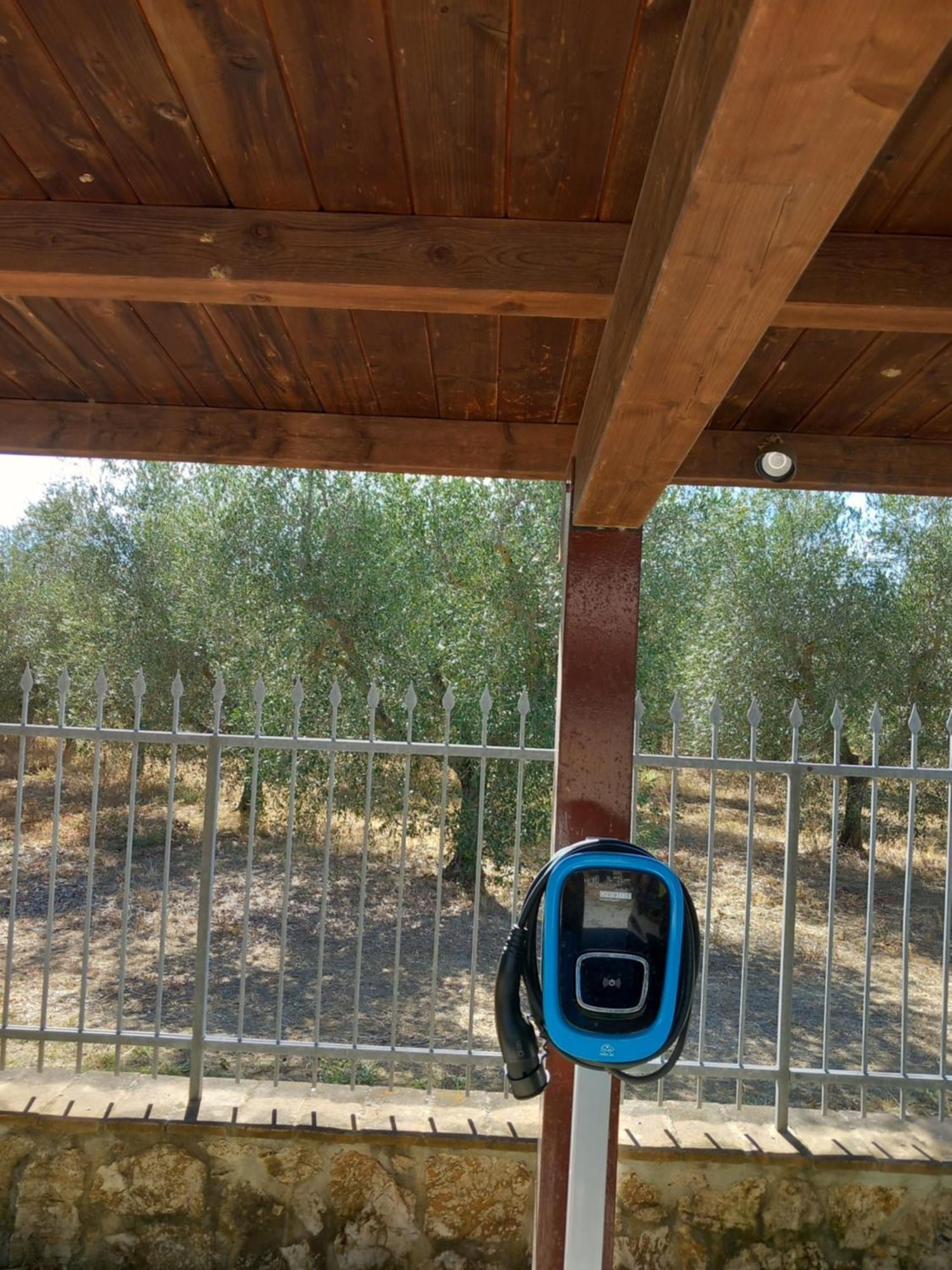 Azienda Agrituristica Le Betulle Riotorto Exteriör bild