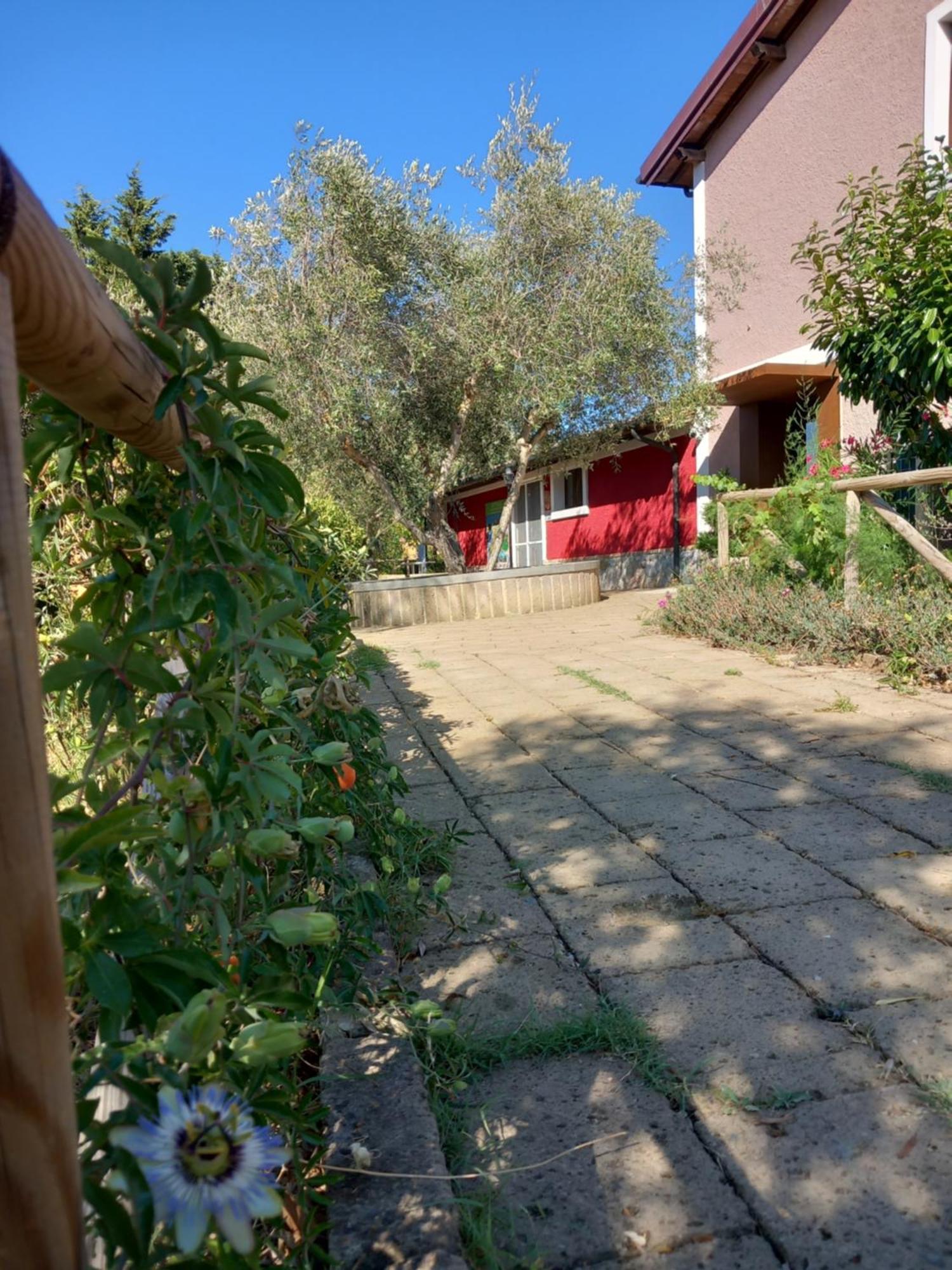 Azienda Agrituristica Le Betulle Riotorto Exteriör bild