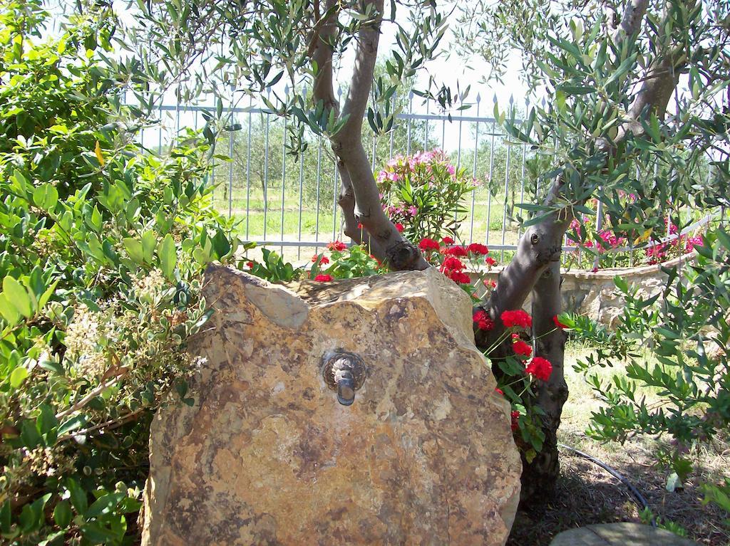 Azienda Agrituristica Le Betulle Riotorto Exteriör bild